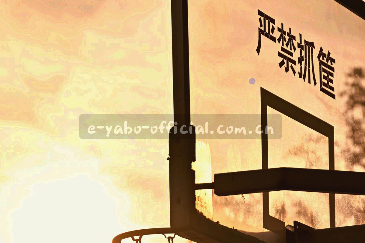 左右两端界面字段用连接线对应，栏目名完全一致